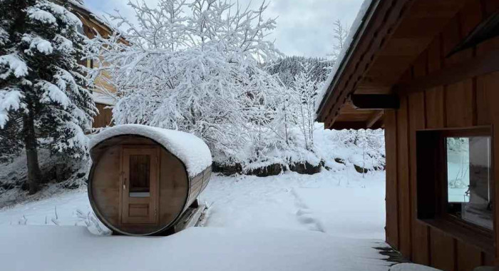 Chalet Jardin Alpin, La Tania ski chalet, image 7